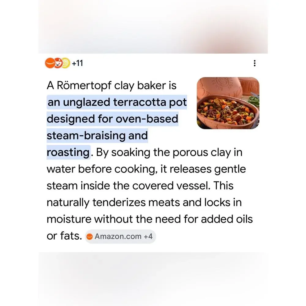 romertopf terracotta baking